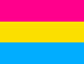flag-pansexual