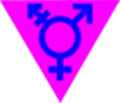 transgender-counselling