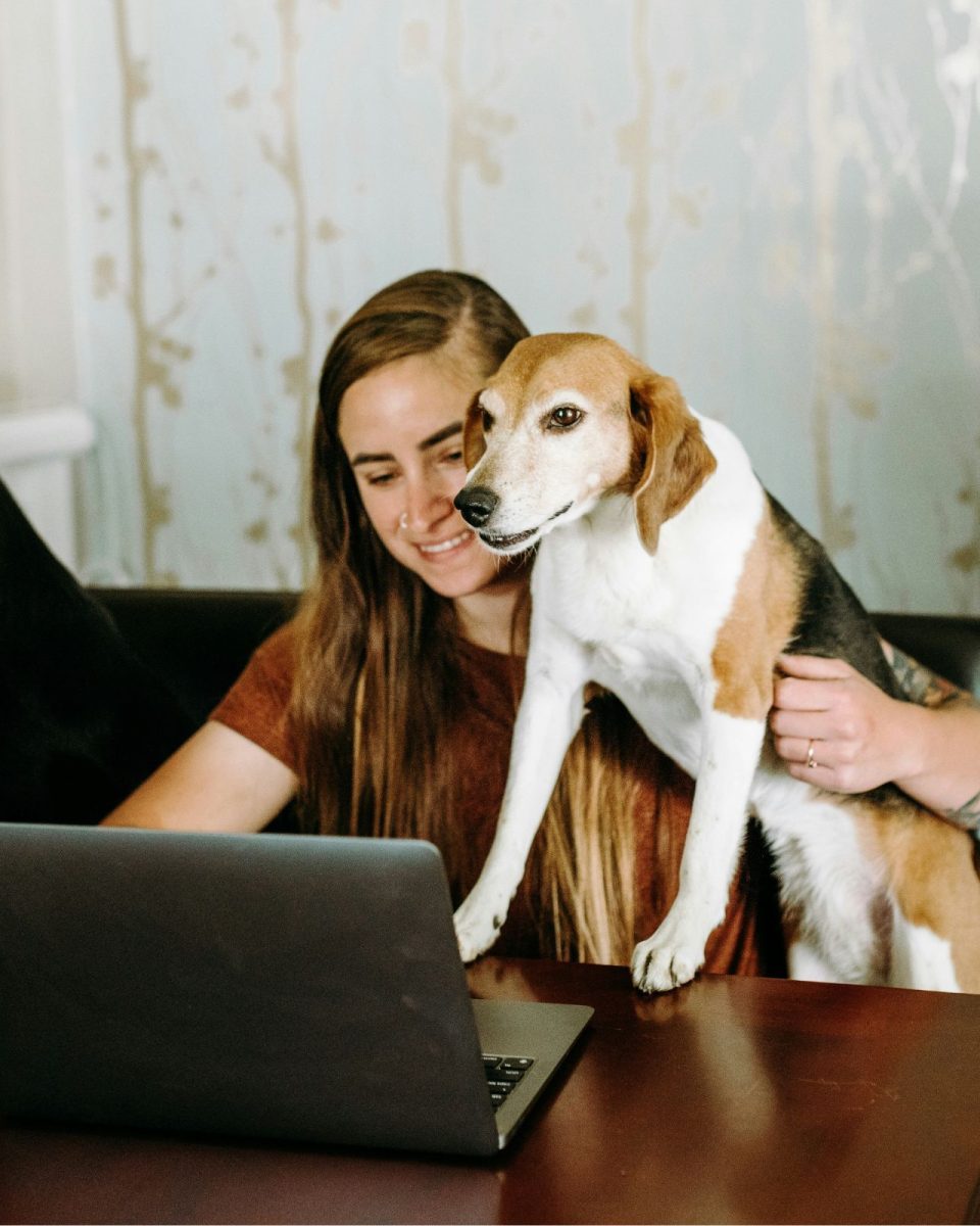 They Integrated - Virtual Therapy (3)